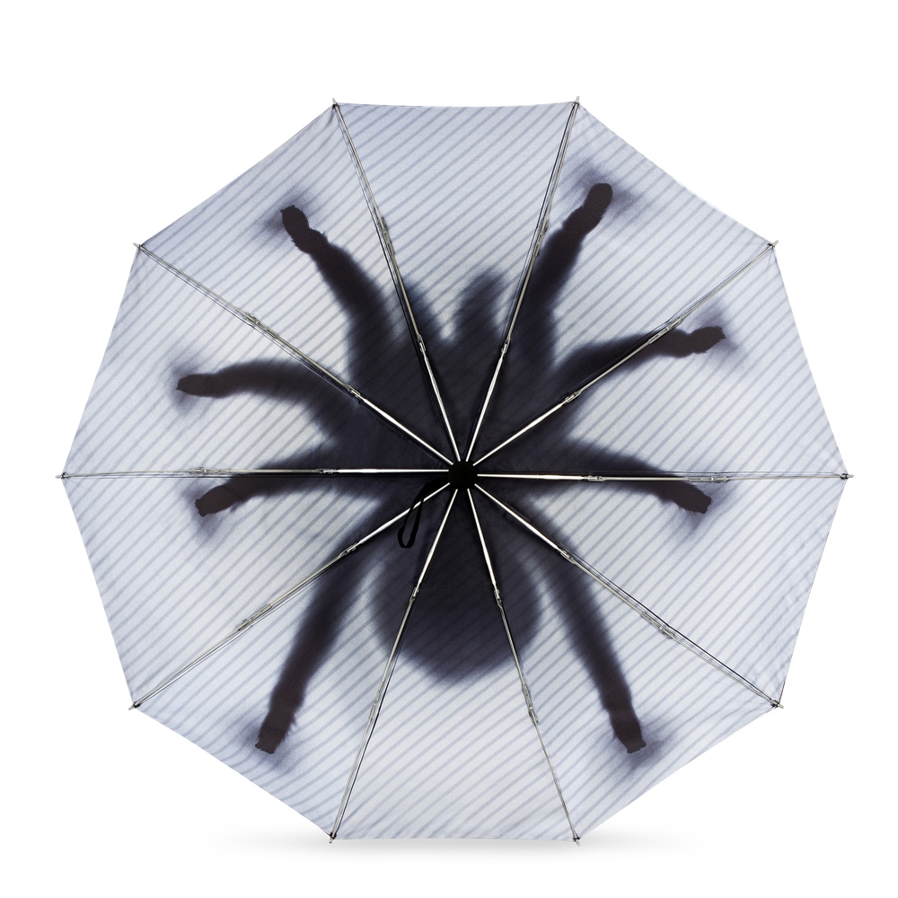 Taranturella - Odwrócony Parasol Pająk